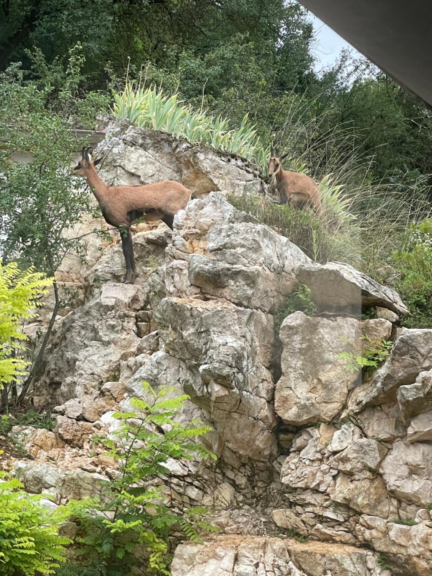 Maison Au Bord De L'Eau Les Roches Rochefort-sur-Nenon Eksteriør bilde